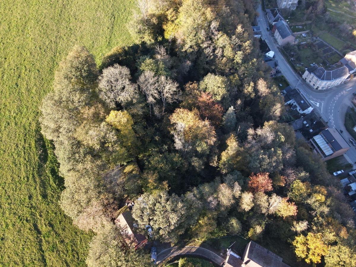 Gites Douillets A L'Oree Des Bois. Houyet Luaran gambar